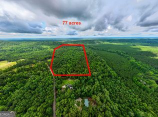 0 S Porter Rd, Shiloh, GA 31826