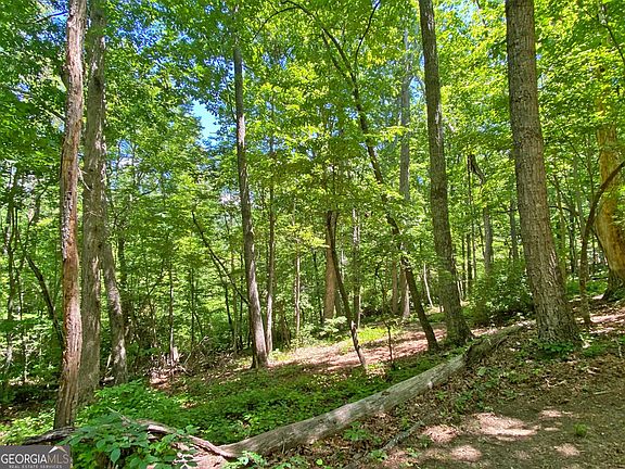 3rd image of 0 Hickory Nut Trl
