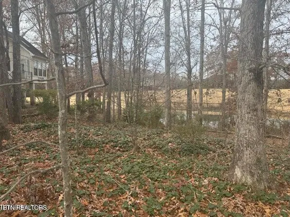 129 Cayuga Dr, Loudon, TN 37774