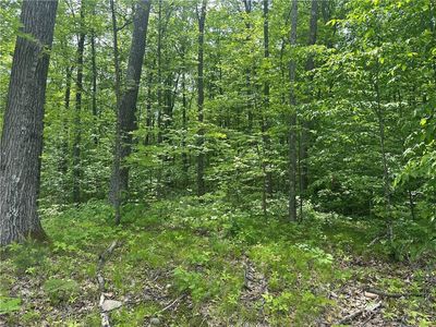 10191 Hardwood Hills Drive, Hayward, WI, 54843