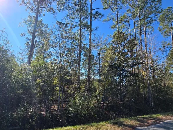 LOT 31 Doc Whitfield Rd, Wewahitchka, FL 32465