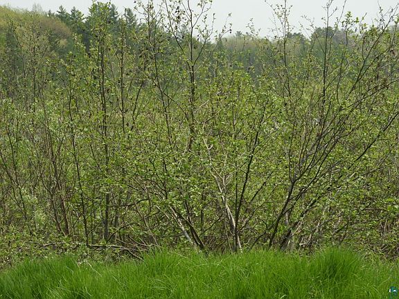 3rd image of 6726X E Deep Lake Rd