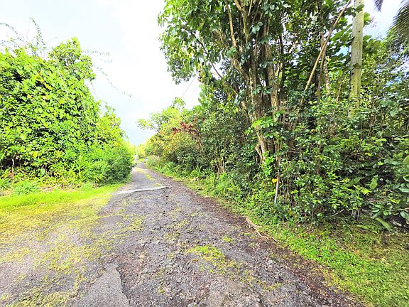 3rd image of Aloha Rd Lot 172