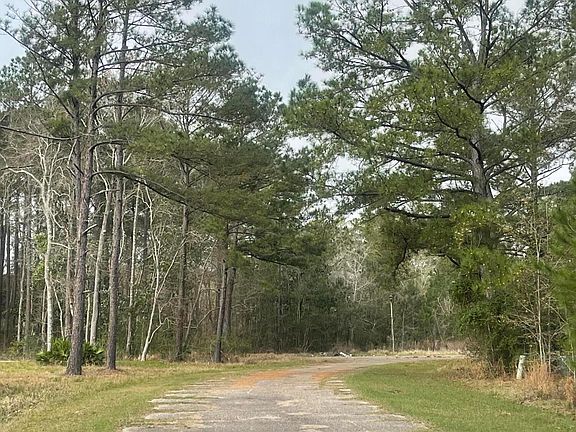 4th image of Sand Pine Cv Lot 3