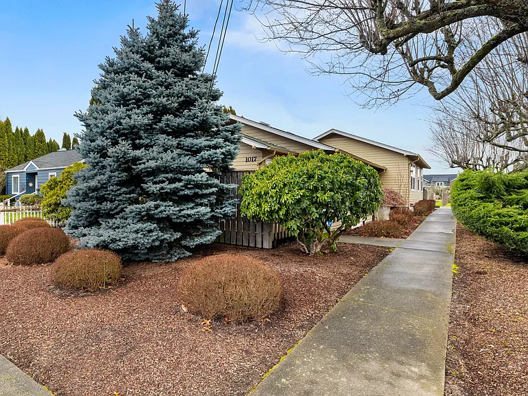 1017 7th Ave SW — Photo 4