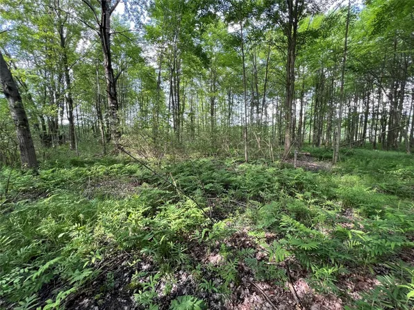 South St, Conneautville, PA 16406