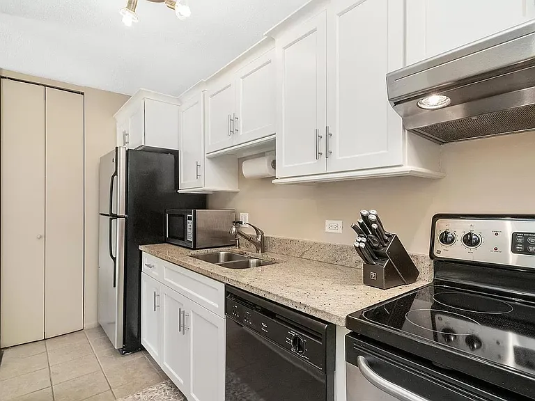 71 E Division St #1005 — Photo 8