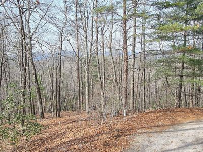 410 Chestnut Hills Rd, Clarkesville, GA, 30523