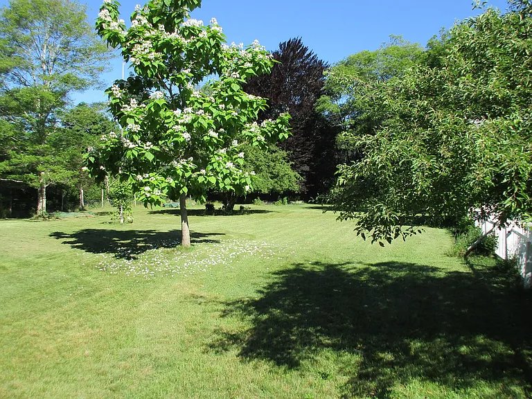 ARBORITUM