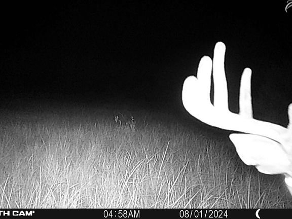 5th image of Tbd Camp Creek Rd