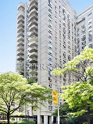 Rented by Peter Ashe | media 42