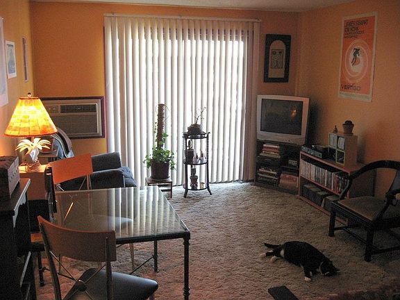 Living Room & Balcony