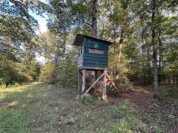 Lazy Wood Ln, Cove, AR 71937