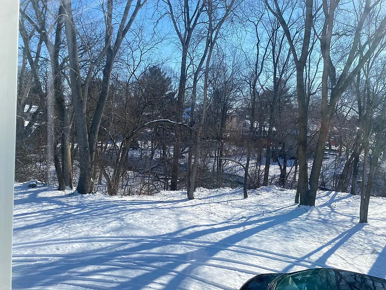 View from bedroom window overlooking Sycamore Creek