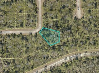 369 Walsh Cir, Lehigh Acres, FL 33972