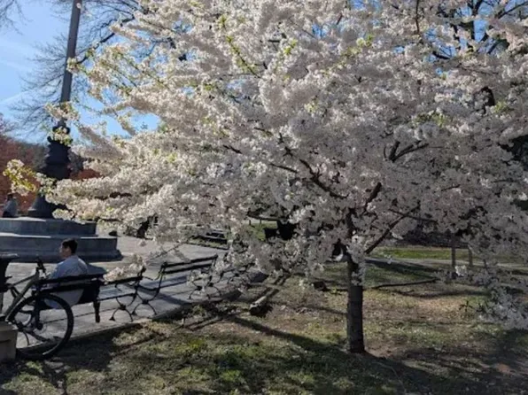 118-82 Metropolitan Avenue image 31 of 35