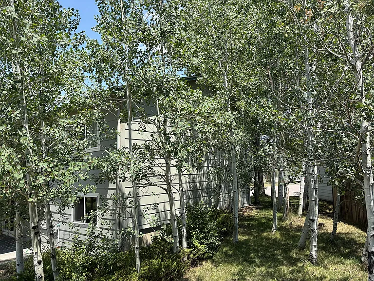 517 Pluto Ct — Photo 11