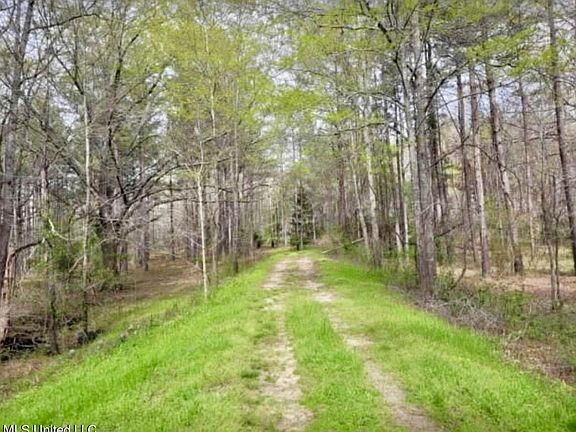 14640 Dry Grove Rd, Raymond, MS 39154 | MLS #4075318 | Zillow