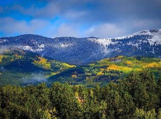 1682 Clark Rd, Bailey, CO 80421