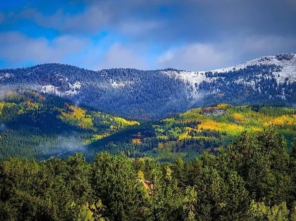 1682 Clark Road, Bailey, CO 80421