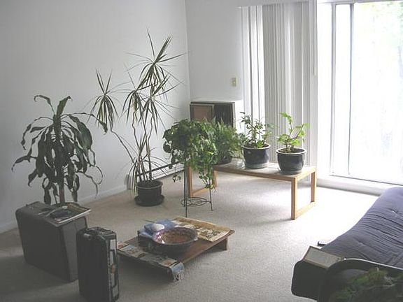 2nd image of 60 Belmont Sq #33