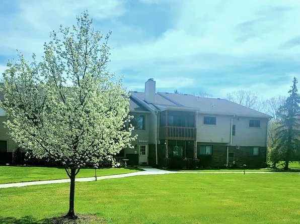 10241 Nancys Blvd APT 50, Grosse Ile, MI 48138