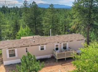 3576 Pathfinder Rd, Florissant, CO 80816