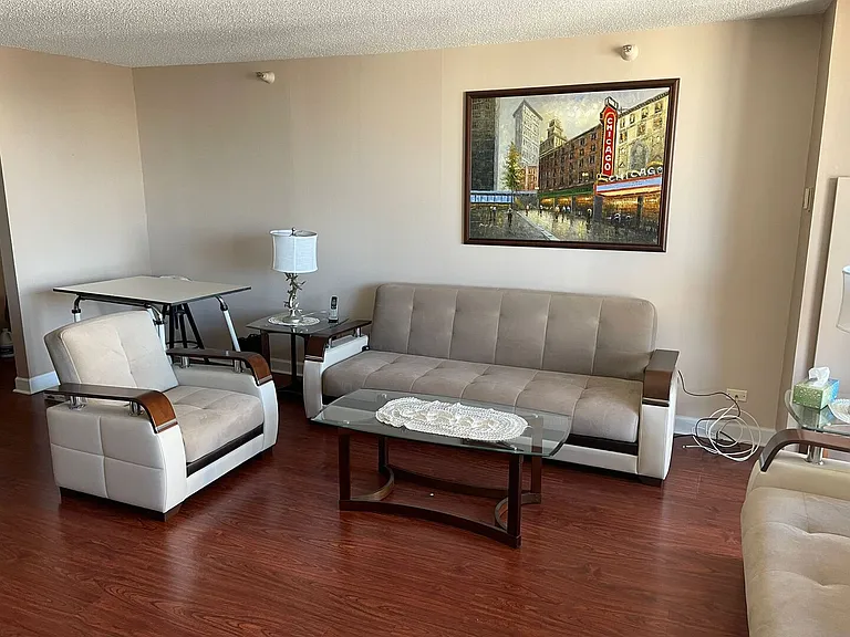 10 E Ontario St #4601 — Photo 7
