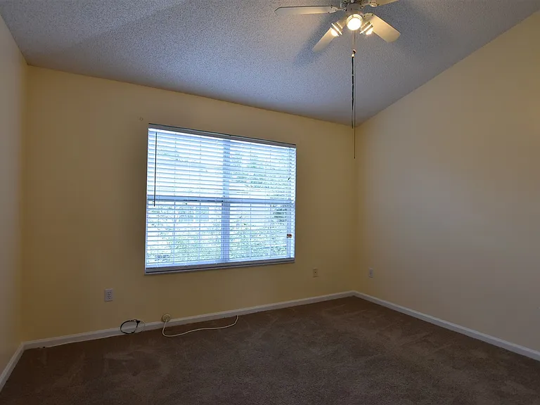 2203 Cypress Knee Loop — Photo 15