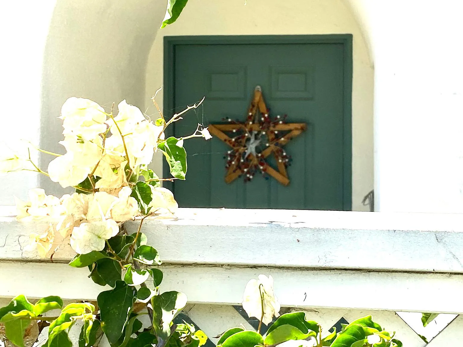 613 Sweet Pea Pl — Photo 4