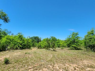 County Line Rd, Dothan, AL, 36305
