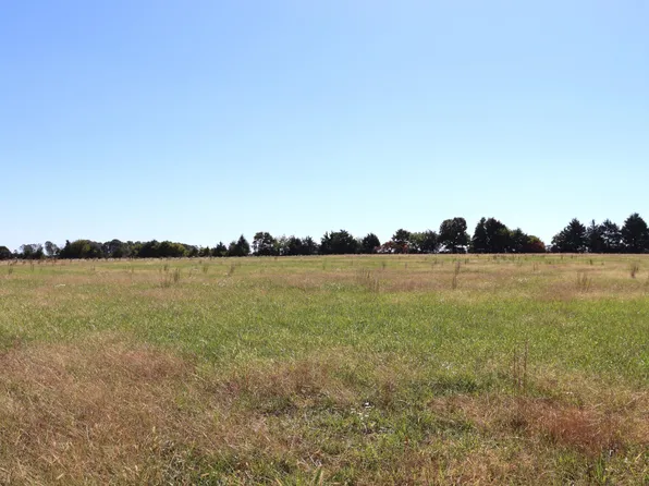 Lots 5&6 Timber View Drive, Seymour, MO 65746