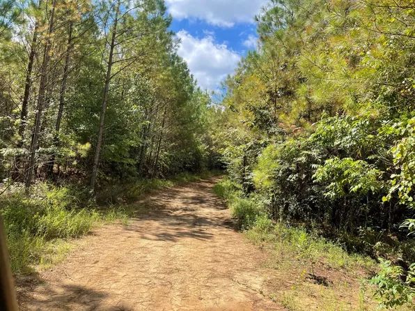 Carver Point Rd, Coffeeville, MS 38922