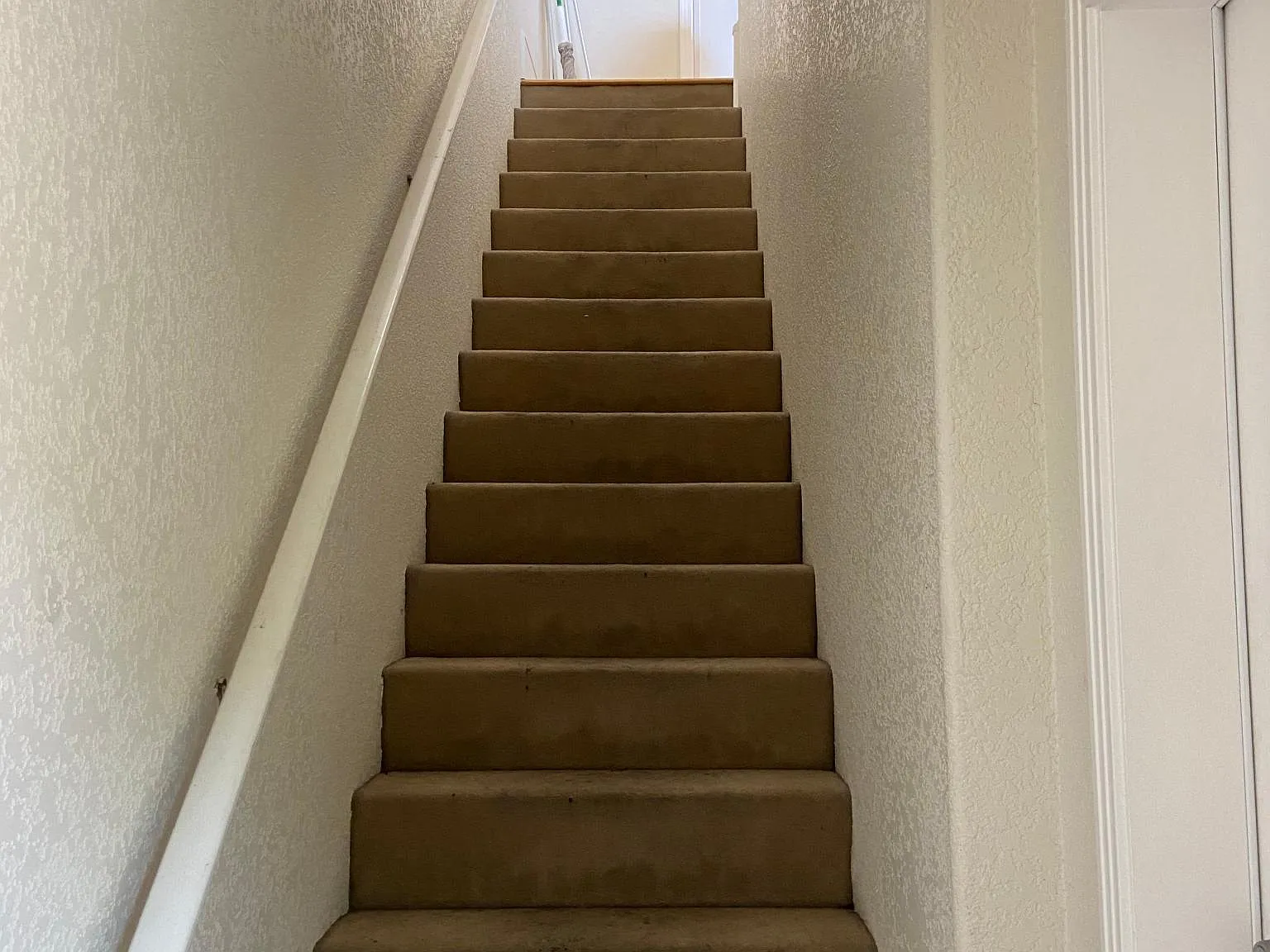 527 Mendocino Ave — Photo 3