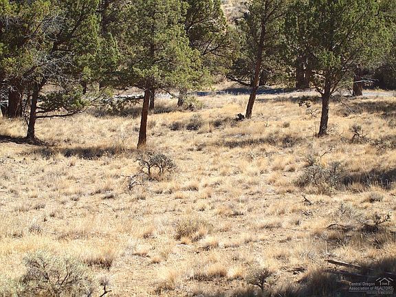 5th image of 0 SW River Rd