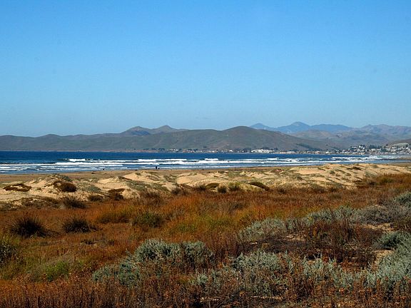 Average Day in paridise