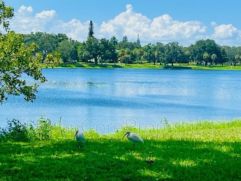 1 bed, 1.0 bath, 800 sqft, $1,850 — Photo 3