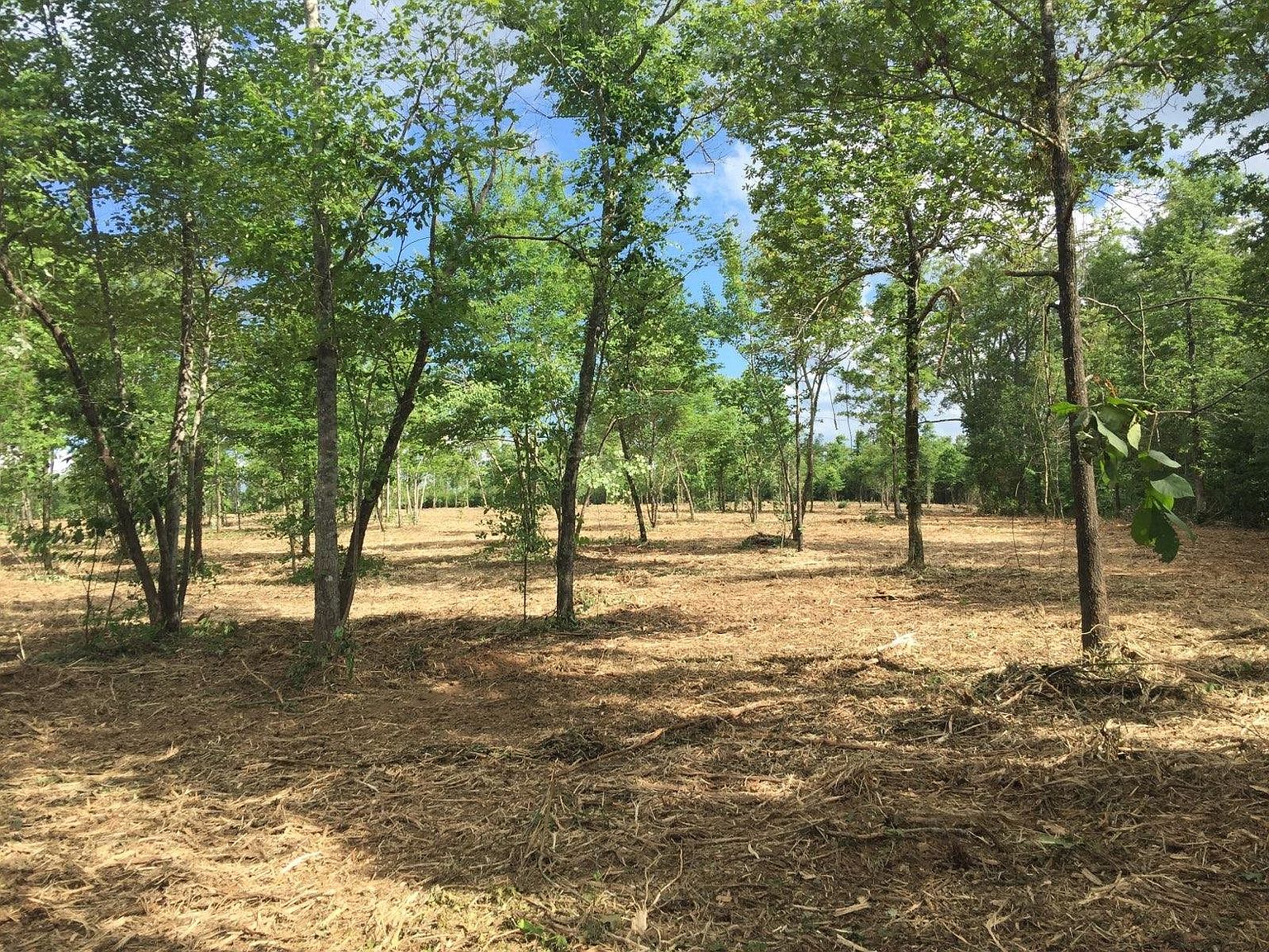 0 Moon Hull Mountain Rd, Ozone, AR 72854 MLS 23002388 Zillow