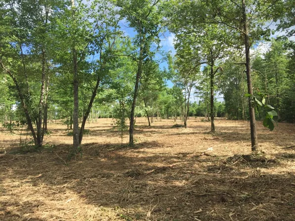 0 Moon Hull Mountain Rd, Ozone, AR 72854