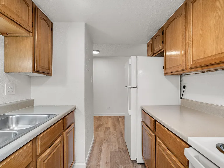 1325 Idalia Ct — Photo 4