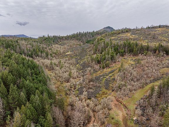 2nd image of 2527 Crowfoot Rd