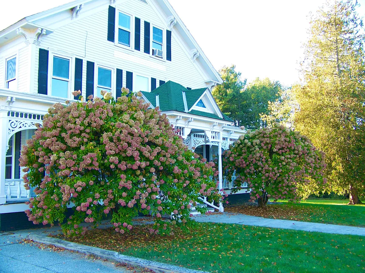 Building Photo - 45 Holbrook Ave #10