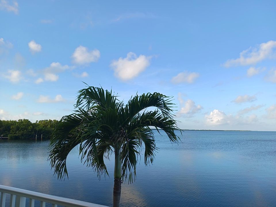 Living room view
