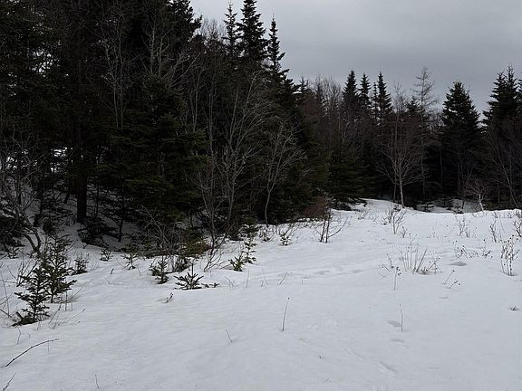 5th image of 28 Cross Rd