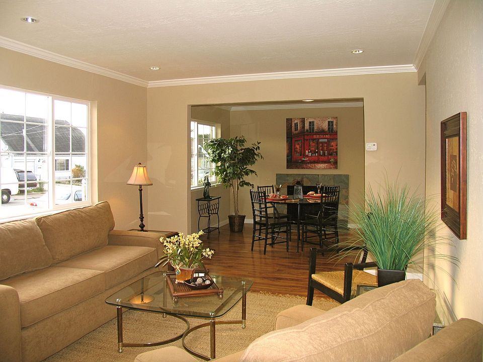 Large Living Room, Lots of Natural Light