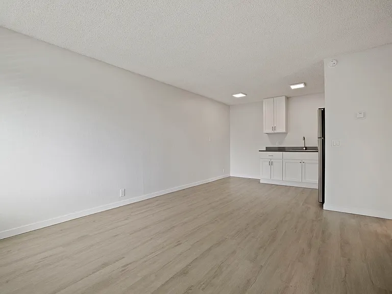 1369 Santa Clara St #1369 — Photo 5