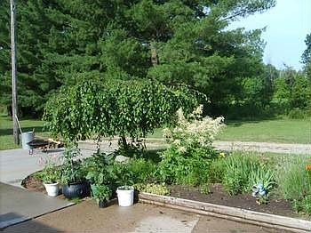 Nice  garden area for those fresh veggies.
