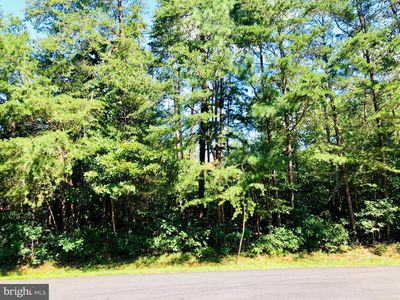 249 Washington Dr, Ruther Glen, VA, 22546