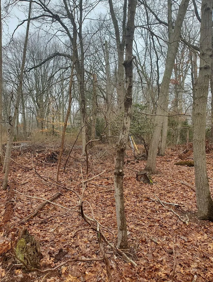 8 Steep Bank Road photo 1