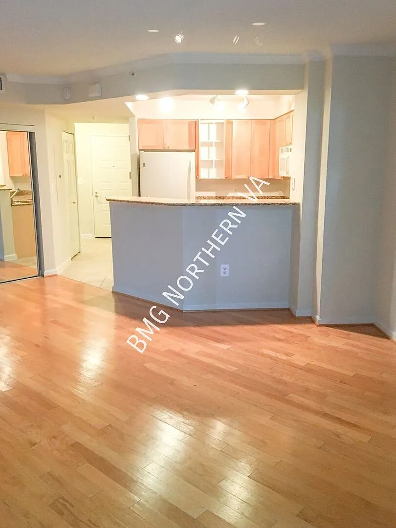 Beautiful Studio Unit At Northampton With Updates Galore In Northampton Place- Water Included — Photo 4